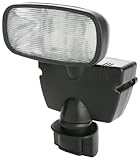 DE 15w Hal Motion Act Flood