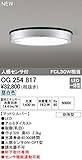 OG254817 オーデリック LEDアウトドアシーリングライト