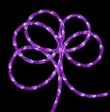 288' Commericial Grade Purple LED Indoor/Outdoor Christmas Rope Lights on a Spool [並行輸入品]