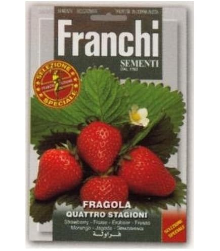 いちごのたね様 Amazon.co.jp: 植物種子 ワイルドイチゴ 種 50粒 : DIY・工具・ガーデン