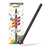 Simplism シンプリズム iPad専用 ショートカット機能搭載 スタイラスペン TR-IPD25-SPB-BK