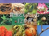 昆虫としたしむ12か月 (生きものカレンダー)