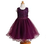 Honey baby 子供服 キッズワンピース 女の子スカート ガールズフォーマル キッズ ドレス フォーマル 発表会 演奏会 パーティー 文化祭 結婚式 ノースリーブ (90CM, パープル)