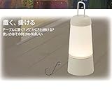 タカショー　ガーデンテーブルライト 1型（LED色：電球色） 12V用 HBF-001I　【ローボルトライト】　【エクステリア照明 ライト】