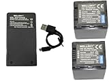 WELLSKY VW-VBN260-K VW-VBN260 互換バッテリー 2個 + VW-BC20 VW-BC20-K 超軽量 USB Type-C バッテリーチャージャー 互換充電器 1個 [ 3個セット ] [ 純正品と同じよう使用可能 ] パナソニック