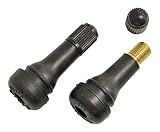 チップトップ(TIPTOP) 自動車用チューブレスバルブ 【TR-413】 (2個入) BP-3