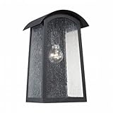 Elk Lighting 8701EW/65 Prince Street 1-light Exterior Wall Lamp, Matte Black [並行輸入品]