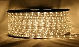 CBConcept ®暖かいホワイト66 ft 110 V-120 V 2線1 / 2 " LEDロープライト、クリスマス照明、インドア/アウトドアロープ照明