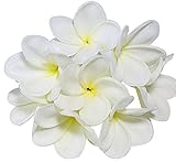 超リアル　枝付き　プルメリア　フランジパニ　造花　直径8cm　11色展開　十個セット　アジアン雑貨　飾り物　ヘアアクセサリー　インテリア　手細工の材料 (ホワイト)