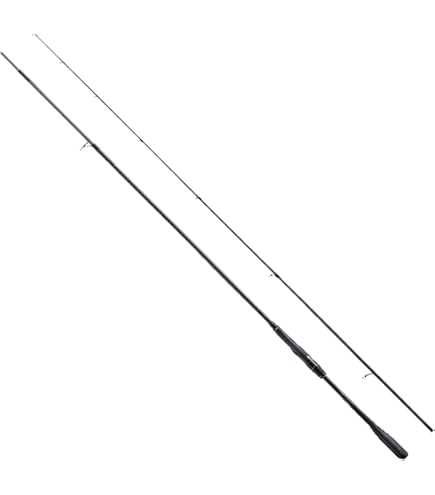 SHIMANO EXSENCE シーバスロッド　25ジェノス90mh Amazon | シマノ(SHIMANO) シーバスロッド 25エクスセンス ジェノス
