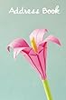 Address Book.: (Flower Edition Vol. F11)Pink Paper Flower Cover Design. Glossy Cover, Large Print, Font, 6 X 9 for Contacts, Addresses, Phone Numbers, Emails, Birthday and More.