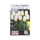 秋植え球根 お徳用 チューリップ20球入 白 ピューリシマ (544666)