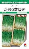【種子】かおり芽ねぎ 25ml