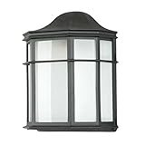 Sunset Lighting F7976-31 Outdoor Wall Sconce with White Acrylic Shades, Black Finish [並行輸入品]