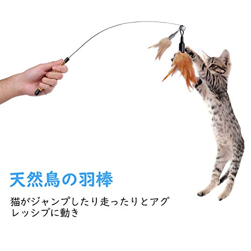 飼い猫やプレゼントに】猫グッズのおすすめ人気ランキング20選 