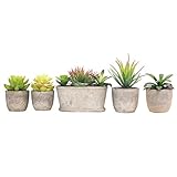 Binen 人工観葉植物 ミニ多肉植物 インテリアグリーン まあるい人工鉢植え 飾り物 ( 5個セット)