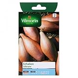 【種子】【Vilmorin社】エシャロット　Zebrune