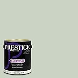 Prestige Paints 外装塗料/下地塗料 兼用 1 Gallon E500-P-5007-3BVP 1