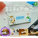 パンダの穴 ミニチュアねこ ガチャ