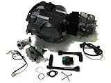 TMS 力帆集団1P52FMI-Kエンジン 125cc ダートバイクモーターキャブ Honda XR50 CRF50 XR CRF 50 70 ATC70 Z50 CT70 CL70 SL70 XL 