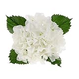 GRALARA結婚式　人工シルク　アジサイ　花束　フラワー　造花　植物　リビングルーム　ベッドサイド　装飾　６色選べる - ホワイト