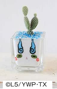 Amazon 観葉 ミニサボテン カラーサンドde妖怪ウォッチ コマさん 1個 本州 四国限定 生体 観葉植物 オンライン通販