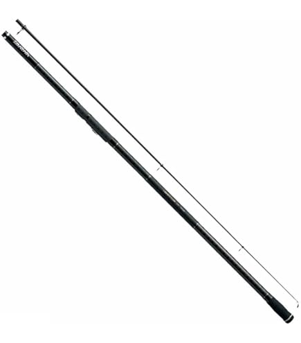 Amazon | ダイワ(Daiwa) スピニングリール 17 ファインサーフ35 太糸