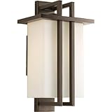 Progress Lighting P5990-20 1 Light Wall Lantern, 14-Inch H by 7.75-Inch W by 5.6-Inch D [並行輸入品]