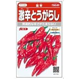 サカタのタネ 激辛とうがらし 羅帝 0.6ml