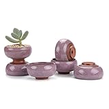 T4U 6.5CM 陶器ミ二植木鉢 氷裂紫砂シリーズ 多肉植物 サボテン鉢 フラワーポット プランター容器 モーブ 6個入り