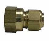 Do it Best Global Sourcing458267Do it Best GS Female Union-1/4X1/4 FEMALE UNION (並行輸入品)