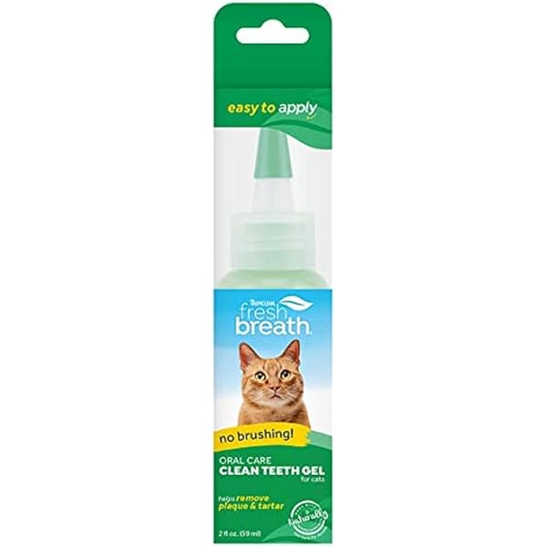 cat toothpaste amazon