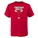 NBA ボーイズ ユースサイズ フルプライマリーロゴ 半袖Tシャツ Large (14-16) レッド