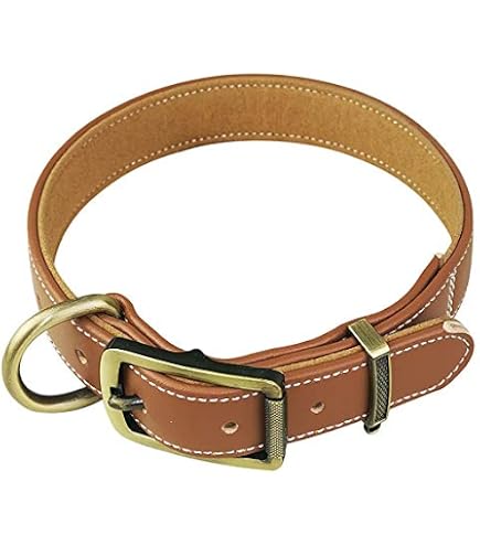 Amazon | ソフトタッチカラー パッド付きレザー犬用首輪 ブラウン M