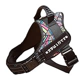 名入れ 犬 ハーネス 小型犬 中型犬 抜けない 胴輪 おしゃれ 【名前入り ネームタグ付】 ステンド柄 反射 反射材 メッシュ 簡単装着 老犬 子犬 シュナウザー パグ inuya 犬屋 (ステンド, XS)