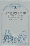 【種子】 キューピッドダーツ （カタナンケ カエルレア） ホワイト 三笠園芸　春まきの種アウトレットセール！（2018年2月期限切れ）