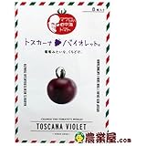 ミニトマト 種 【 トスカーナバイオレット 】 種子 小袋