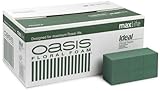 Oasis Ideal Floral Foam Maxlife Brick (Box contains 20 bricks) by Smithers Oasis