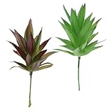 Homyl シミュレーション　多肉植物　人工エチェリア雪蓮　実生植物