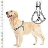 PUPTECK 犬 ハーネス 迷子札 犬 胴輪 犬用ハーネス 喉に優しいハーネス ペット用品 ドッグ はーねす 調節可能 着脱簡単 軽量 通気性 快適 負担が少ない 耐久性 引っ張り防止 安全 夜間反射 IDタグ付き 散歩 アウトドア しつけ 訓練 人気 可愛い おしゃれ 小型犬 中型犬 大型犬（グレー、Mサイズ）
