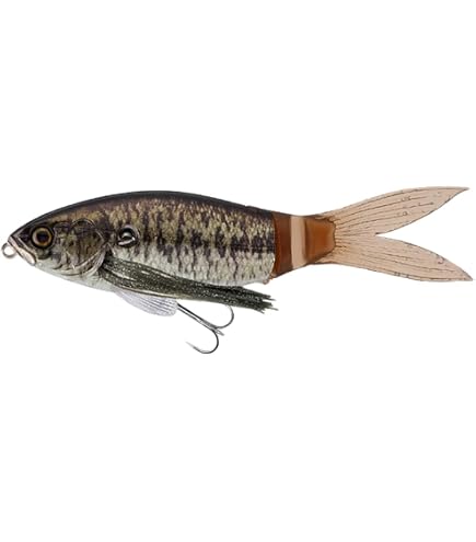 Amazon.co.jp: Coike Fish M Elastomer(#116シニカケギル)コイケ