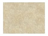 York Wallcoverings Wind River Frescoed Textural Damask 8 x 10 Wallpaper Memo Sample Bisque/Dusky Bei