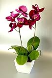 Artificial Silk Fuchsia Pink Mini Orchid in a Pot by CB Imports