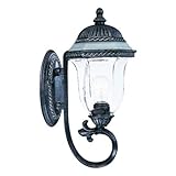 Alico Lighting 1301ST Acclaim Lighting Stone Finished Outdoor Sconce with Clear Seeded/Frosted Glass
