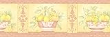 Brewster 499-06864 Fruit Bowl Border Wallpaper, Terra Cotta by Brewster