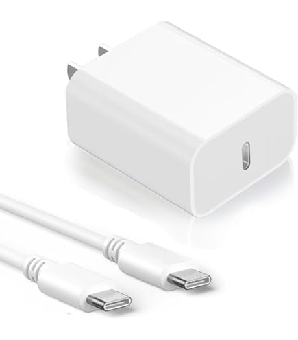 Amazon | 20W PD 充電器 Type-C 【超軽量・極小型】 安全で低温