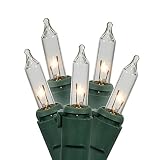 Vickerman 11345732クリアMini Twinkleクリスマスライトグリーンワイヤ付き、50のセット