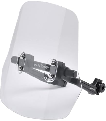 Amazon | Puig (プーチ) ウィンドシールド Naked ダークスモーク0869F