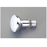 DT55927 １１０Ｖ／１００Ｗ レフ電球【屋内用】