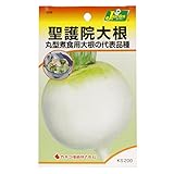 カネコ種苗  野菜タネハイクオリティ 聖護院大根 10袋セット 308